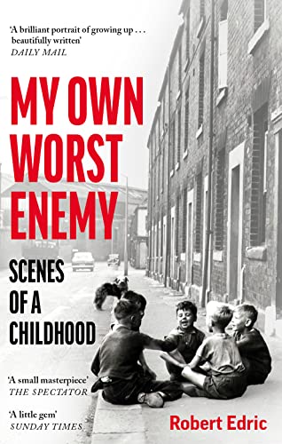 My Own Worst Enemy: Scenes of a Childhood von Swift Press