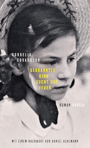 Gebranntes Kind sucht das Feuer: Roman von HANSER FACHBUCHVERLAG