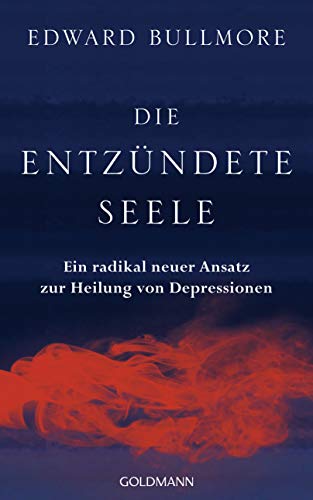 Die entzündete Seele: Ein radikal neuer Ansatz zur Heilung von Depressionen von Goldmann
