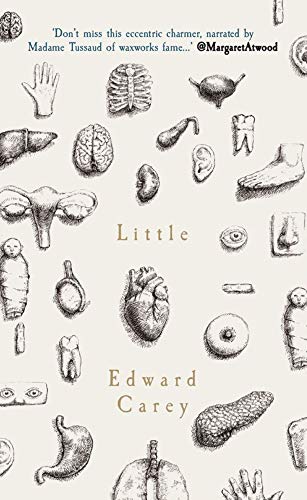 Little: A Times and Sunday Times Book of the Year von Aardvark Bureau
