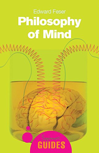 Philosophy of Mind: A Beginner's Guide (Beginner's Guides)