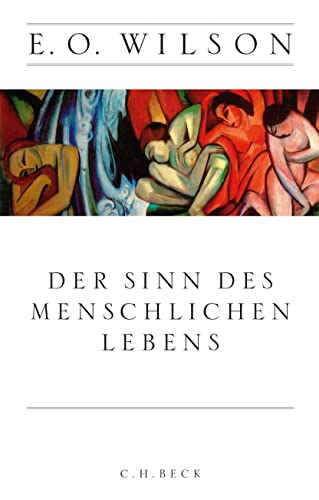 Der Sinn des menschlichen Lebens von Beck C. H.