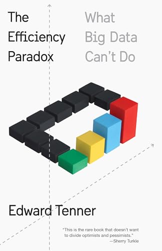 The Efficiency Paradox: What Big Data Can't Do von Vintage