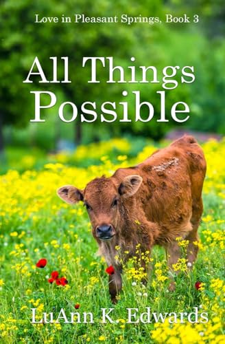 All Things Possible (Love in Pleasant Springs, Band 3) von Winged Publications