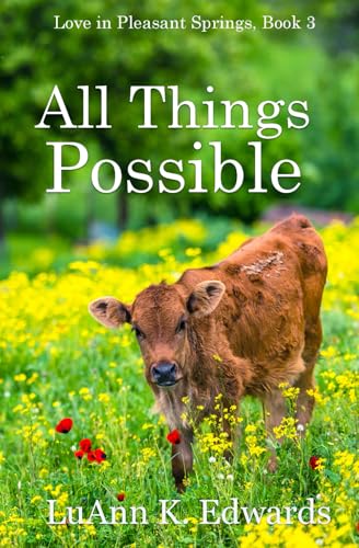 All Things Possible (Love in Pleasant Springs, Band 3)
