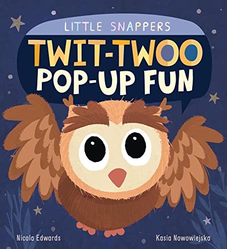 Twit-twoo Pop-up Fun (Little Snappers)