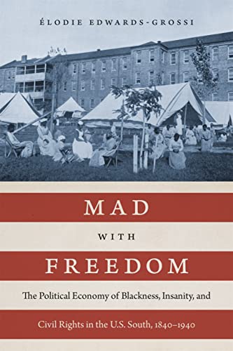 Mad with Freedom: The Political Economy of Blackness, Insanity, and Civil Rights in the U.S. South, 1840-1940 (Jules and Frances Landry Award)