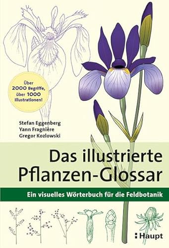Das illustrierte Pflanzen-Glossar: Ein visuelles Wörterbuch für die Feldbotanik von Haupt Verlag AG