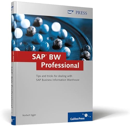 SAP BW Professional: Tips and tricks for dealing with SAP Business Information Warehouse (SAP PRESS: englisch)