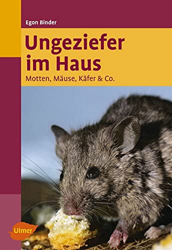 Ungeziefer im Haus: Motten, Mäuse, Käfer & Co.
