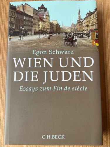 Wien und die Juden: Essays zum Fin de siècle