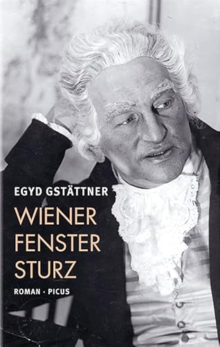 Wiener Fenstersturz: oder: Die Kulturgeschichte der Zukunft: oder: Die Kulturgeschichte der Zukunft. Roman