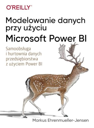 Modelowanie danych przy użyciu Microsoft Power BI von Promise