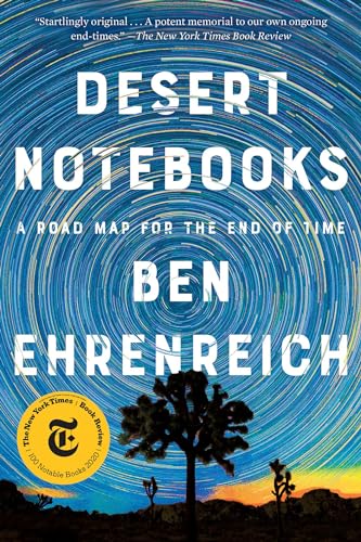Desert Notebooks: A Road Map for the End of Time von Counterpoint