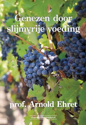 Genezen door slijmvrije voeding von Succesboeken.nl