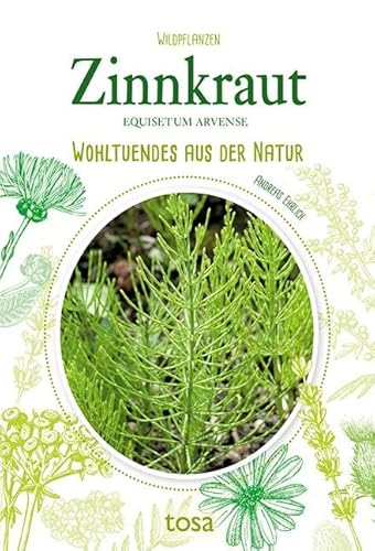 Zinnkraut: Wohltuendes aus der Natur