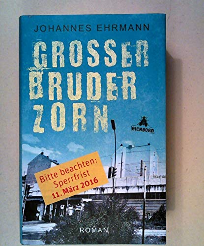 Großer Bruder Zorn: Roman