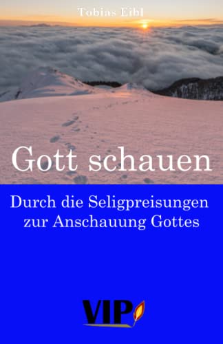 Gott schauen: Durch die Seligpreisungen zur Anschauung Gottes von VIPress