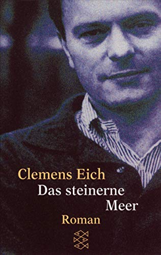 Das steinerne Meer: Roman (Fischer Taschenbücher) von FISCHER Taschenbuch