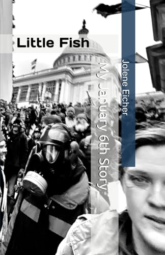 Little Fish: My January 6th Story von Horizon Books