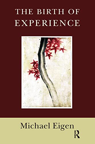 The Birth of Experience von Routledge