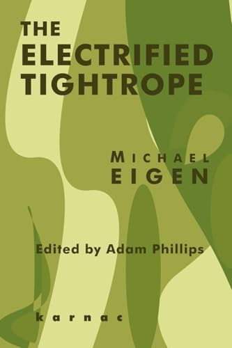 The Electrified Tightrope von Routledge