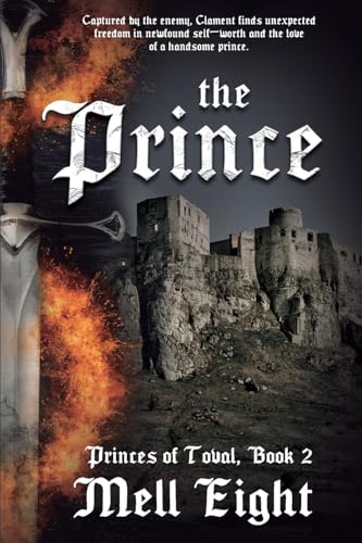 The Prince (Princes of Toval, Band 2) von NineStar Press