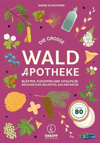 Die große Waldapotheke: Blätter, Flechten und Vitalpilze: Erstaunliche Heilmittel aus der Natur von Kneipp Verlag in Verlagsgruppe Styria GmbH & Co. KG