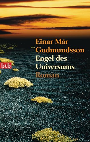 Engel des Universums: Roman