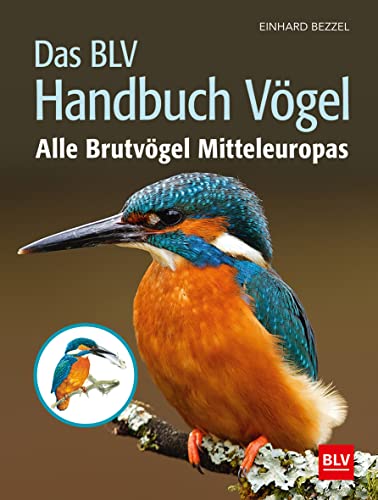 Das BLV Handbuch Vögel: Alle Brutvögel Mitteleuropas (BLV Vögel)