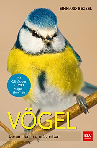 Vögel: Bestimmen in drei Schritten (BLV Vögel)