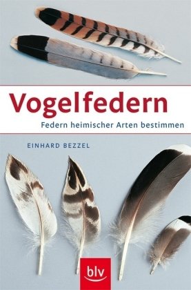 Vogelfedern: Federn heimischer Arten bestimmen