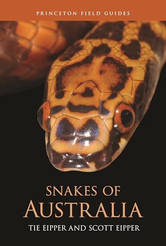 Snakes of Australia (Princeton Field Guides, 168) von Princeton University Press