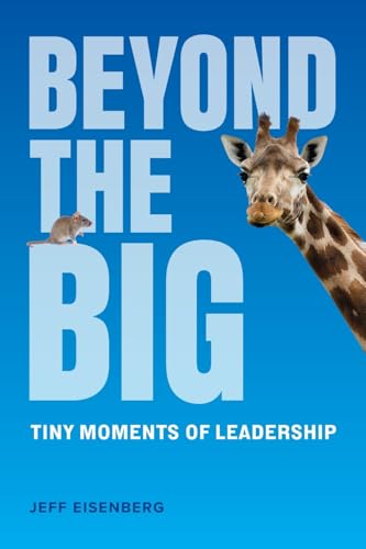 Beyond the Big: Tiny Moments of Leadership von River Grove Books