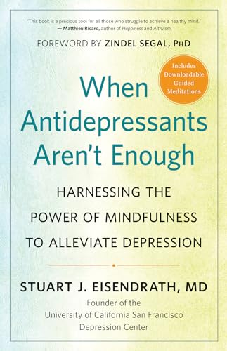When Antidepressants Aren’t Enough: Harnessing the Power of Mindfulness to Alleviate Depression von New World Library