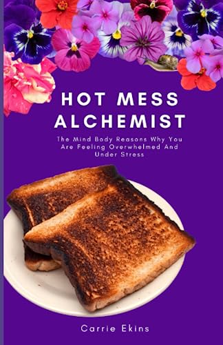 Hot Mess Alchemist: The Mind Body Reasons Why You Are Feeling Overwhelmed And Under Stress von Nielsen