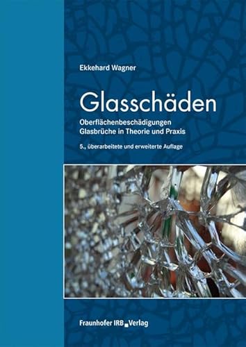 Glasschäden: Oberflächenbeschädigungen, Glasbrüche in Theorie und Praxis. von Fraunhofer Irb Verlag