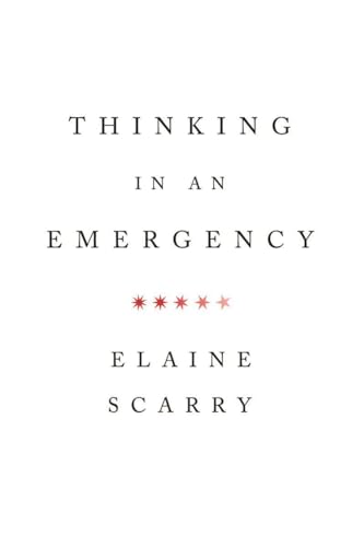 Thinking in an Emergency (Amnesty International Global Ethics Series, Band 0)