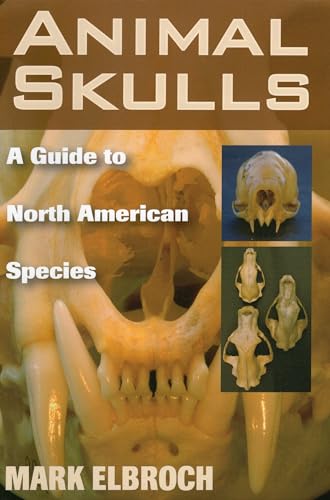 Animal Skulls: A Guide to North American Species