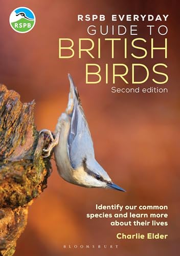 RSPB Everyday Guide to British Birds: Identify our common species and learn more about their lives von Bloomsbury Wildlife