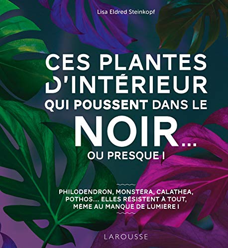 Ces plantes d'intérieur qui poussent dans le noir... ou presque !: Bien choisir puis entretenir des plantes d'intérieur se contentant de peu de lumière von Larousse