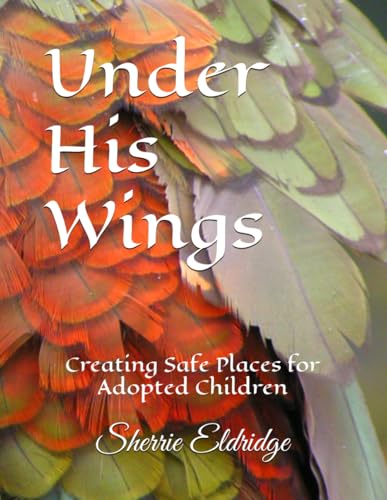 Creating Safe Places for Adopted Children von Independently published
