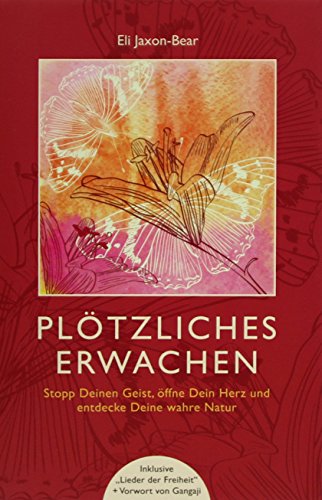 Plötzliches Erwachen: Stopp deinen Geist, öffne dein Herz und entdecke deine wahre Natur Plötzliches Erwachen: Stopp deinen Geist, öffne dein Herz und entdecke deine wahre Natur