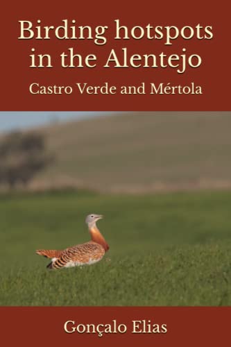 Birding hotspots in the Alentejo: Castro Verde and Mértola von Independently Published