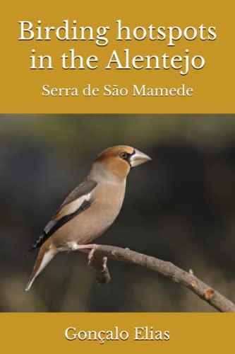Birding hotspots in the Alentejo: Serra de São Mamede