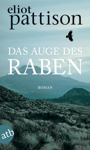 Das Auge des Raben: Roman