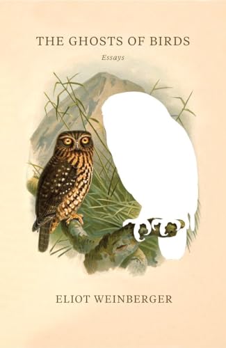 The Ghosts of Birds: Essays