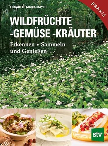 Wildfrüchte, -gemüse. -kräuter: Erkennen • Sammeln und Genießen von Stocker Leopold Verlag