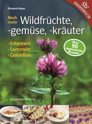 Noch mehr Wildfrüchte, -gemüse, -kräuter: Erkennen, Sammeln, Genießen von Stocker Leopold Verlag