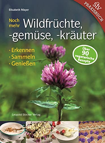 Noch mehr Wildfrüchte, -gemüse, -kräuter: Erkennen, Sammeln, Genießen von STOCKER, L